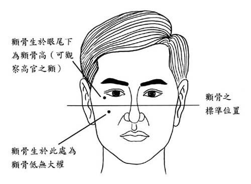 ek骨面部分析您的个性