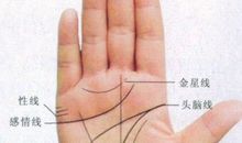 手掌透露你的婚姻运势