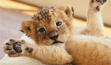 运势君今日运势2018年6月21日