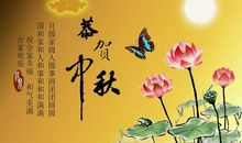 处女座今日运势2014年12月1日