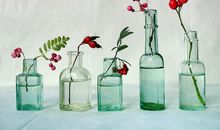 小乖麻根登卓玛2013年2月双鱼座运势