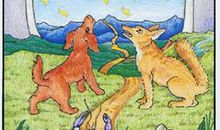 燃犀塔罗每日运势2014年3月5日