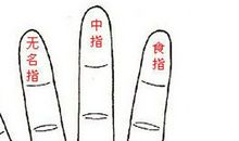 手指透露你的贫富贵贱