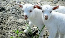 YAO叔:今日运势2018年6月8日