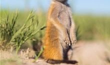 海百合:今日运势2018年6月8日