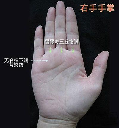 手相术算命：什么是川子手掌？