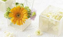 Geo老师摩羯座一周运势（9.16-9.22）