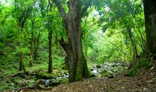 YAO叔:今日运势2018年5月29日