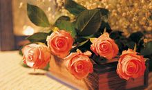 Geo老师处女座一周运势（9.16-9.22）