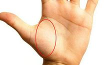 你不得不看的手相图解