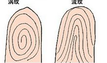 从手指斗和簸箕看你的性格