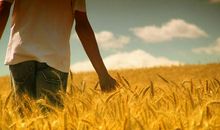 八字什么格局的人注定富贵