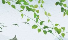 都江堰工程的原理 是哪个省