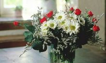 苏珊米勒:今日运势2018年5月6日