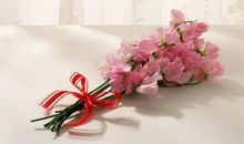 猫石对话:每日运势2018年5月6日