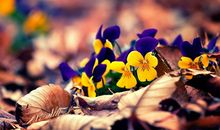 Geo老师射手座一周运势（9.16-9.22）