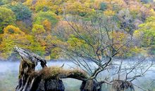 Alex射手座一周运势（6.4—6.10）