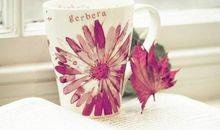 苏珊米勒:今日运势2018年5月2日