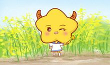 五月运势大涨的星座 好好把握吧