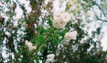 玛利亚2018年射手座运势