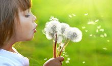 2017年5月27日出生的人命运解析