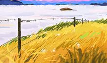 2016财运最差星座生肖，走下人生巅峰