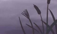 白羊座最怕的三件事