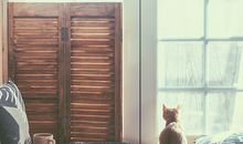 书房风水催旺主人财运