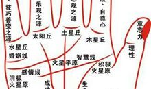 哪些手相特征最能招财