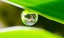 2017年4月27日出生的男宝宝命运