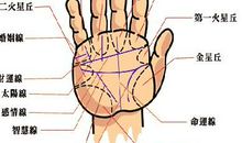 断掌手相的人运气好吗