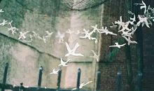 小乖麻根等卓玛2014年5月白羊座运势