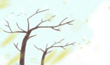 2016平凡过去，2017能被老板重视的星座