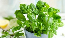 横樑煞的风水知识