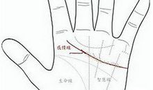 感情线复杂手相图解