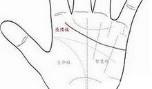 感情线很弯手相图解