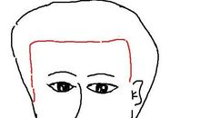 额头形状看你是不是聪明人