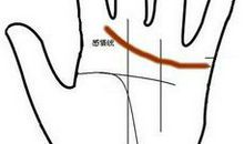 从感情线看爱情运势