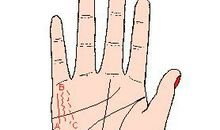 财运线弯曲手相图解