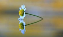 十月上升、太阳在天蝎座的运势