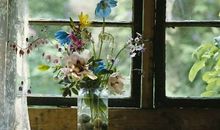 氧气占星2017年4月天蝎运势