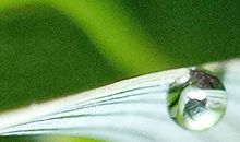 面相看你天生财运