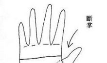 命硬的女人手相