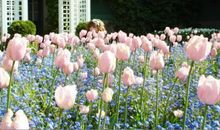 十月上升、太阳在摩羯座的运势