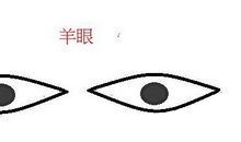羊眼面相图解