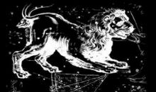 狮子座今日运势2013年01月09日