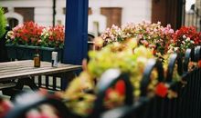 小乖麻根等卓玛2014年5月双子座运势