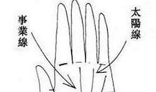 社会地位与掌纹的关系