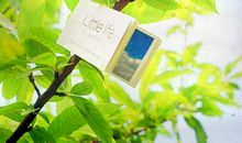 小乖麻根等卓玛2014年5月狮子座运势