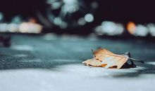 射手座今日运势2013年02月21日